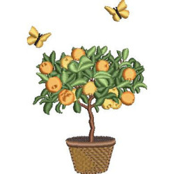 Plants