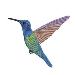 HUMMINGBIRD