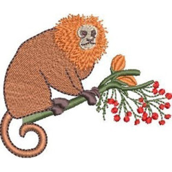 Embroidery Design Goldenfaceed Lion Monkey