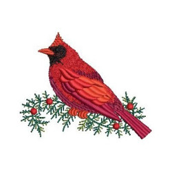 CARDINAL BIRD ON THE BRANCH 6