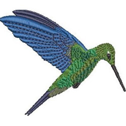 HUMMINGBIRD BIRD 2