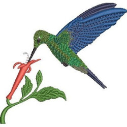 Diseño Para Bordado Colibrí Pájaro 3