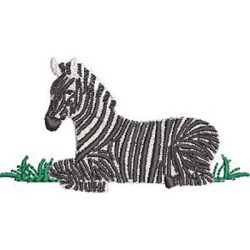 Matriz De Bordado Zebra Safari
