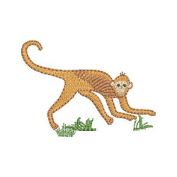 Embroidery Design Safari Monkey