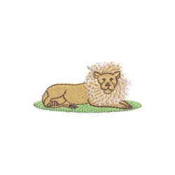 SAFARI LION