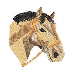 HORSE BUST