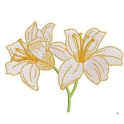 LILIES 17