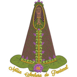 Embroidery Design Our Lady Of Pantanal 2