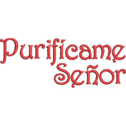 Embroidery Design Written In Spanish: Purify Me, Lord 2