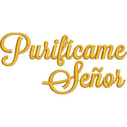 Embroidery Design Written In Spanish: Purify Me, Lord 3
