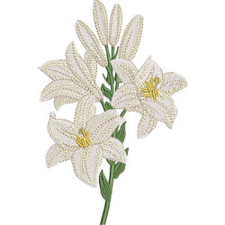 Embroidery Design Realistic Lily Branches 18 Cm