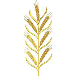 Embroidery Design Wheat 35 Cmc