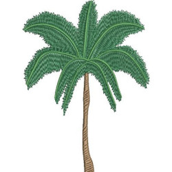 COCONUT TREE 8