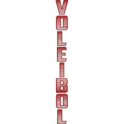 Embroidery Design Volleyball Effect Vertical