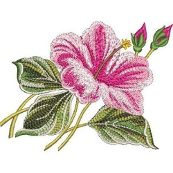 Embroidery Design Hibisco Arrangement