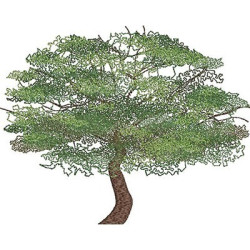 Embroidery Design Realistic Tree 1