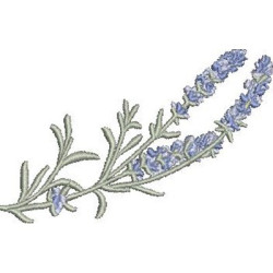 LAVENDER BRANCH