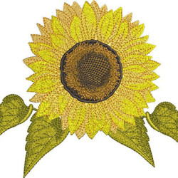 Embroidery Design Sunflower