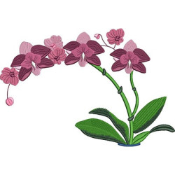 Embroidery Design Large Orchid Branch