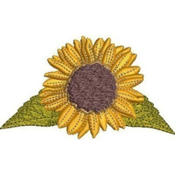 GIRASOL 10 CM