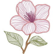 Embroidery Des...