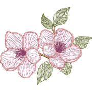 Embroidery Des...