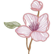Embroidery Des...