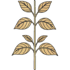 Embroidery Design Foliage 14 Cm..