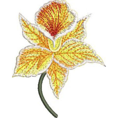 Embroidery Design Realistic Orchid 3..