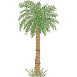 Diseño Para Bordado Palmera Realista De 16 Cm