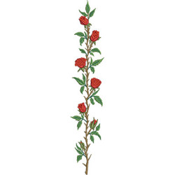 Matriz De Bordado Roseira Com 35 Cm