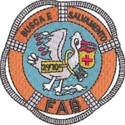 FAB BADGE SEARCH AND RESCUE 2nd/10th