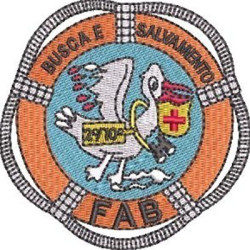 EMBLEMA FAB BUSCA E SALVAMENTO 2º/10º