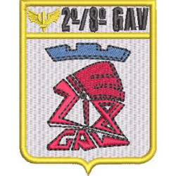 2nd/8th GAV AVIATION GROUP POTI SQUADRON