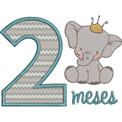 2 MESES NIÑO