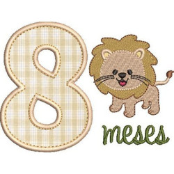 Embroidery Design 8 Months Boy Pt