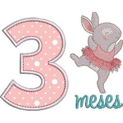 Embroidery Design 3 Months Girl Pt