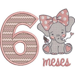 Embroidery Design 6 Months Girl Pt