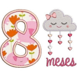 MESVERSÁRIO 8 MESES MENINA