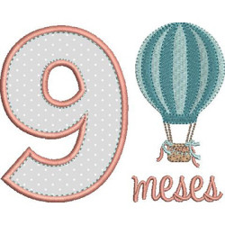Embroidery Design 9 Months Girl Pt