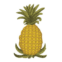 PINEAPPLE 9