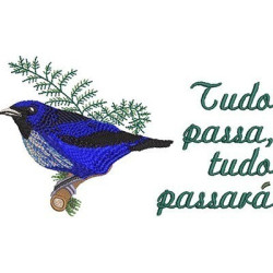 TUDO PASSA