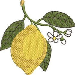 Diseño Para Bordado Limón Siciliano 2