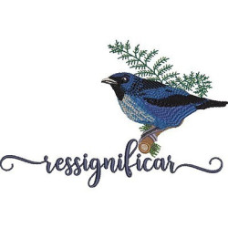 BIRD RESIGNIFY PT