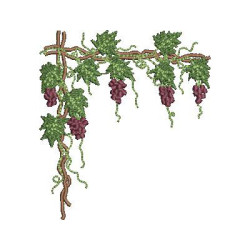 GRAPES FOR CORNER