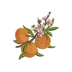 Embroidery Design Branch Of Oranges