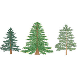 Diseño Para Bordado Trío De Árboles De Navidad Realistas