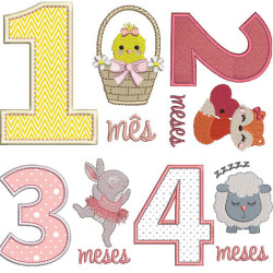 Embroidery Design Monthly Girl Birthday Package