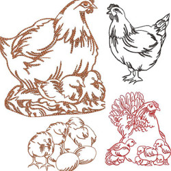 WEEKLY PACKAGE REDWORK CHICKENS