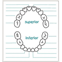 Diseño Para Bordado Parche De Dentición